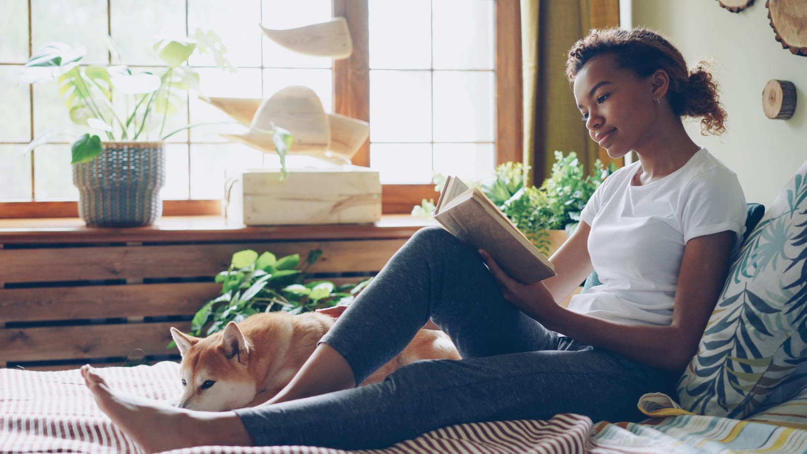 Young woman reads a book on a sunlit bed while a tan dog naps beside her, with houseplants and window light.